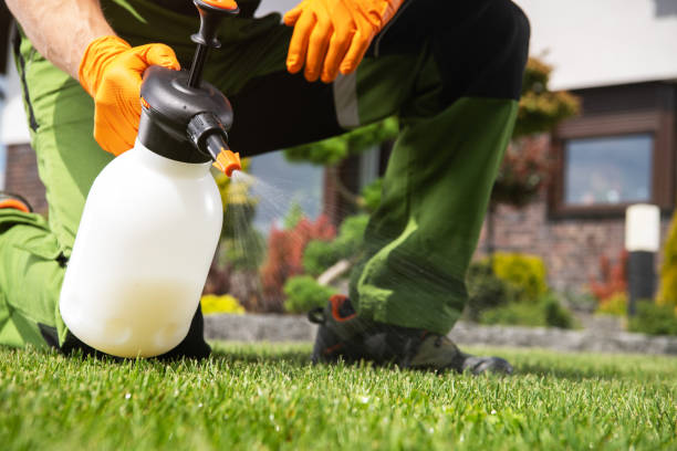 Radford, VA Pest Control Company
