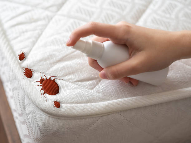 Best Pest Inspection Near Me  in Radford, VA